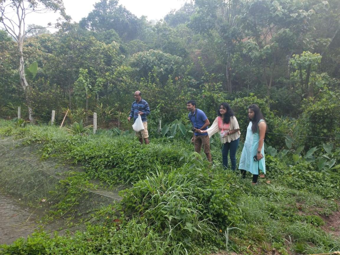 Friends Valley Home Stay Kattappana 外观 照片